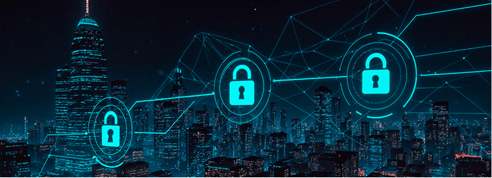 Data & Application Security Services