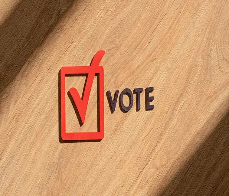 Voter Management & Eligibility Control